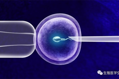 女人重庆代生孩子的最佳年龄段 一辈子生几个孩子最好